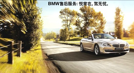 2014 BMW中国售后服务技能大赛决赛在即 技术服务精英的巅峰对决